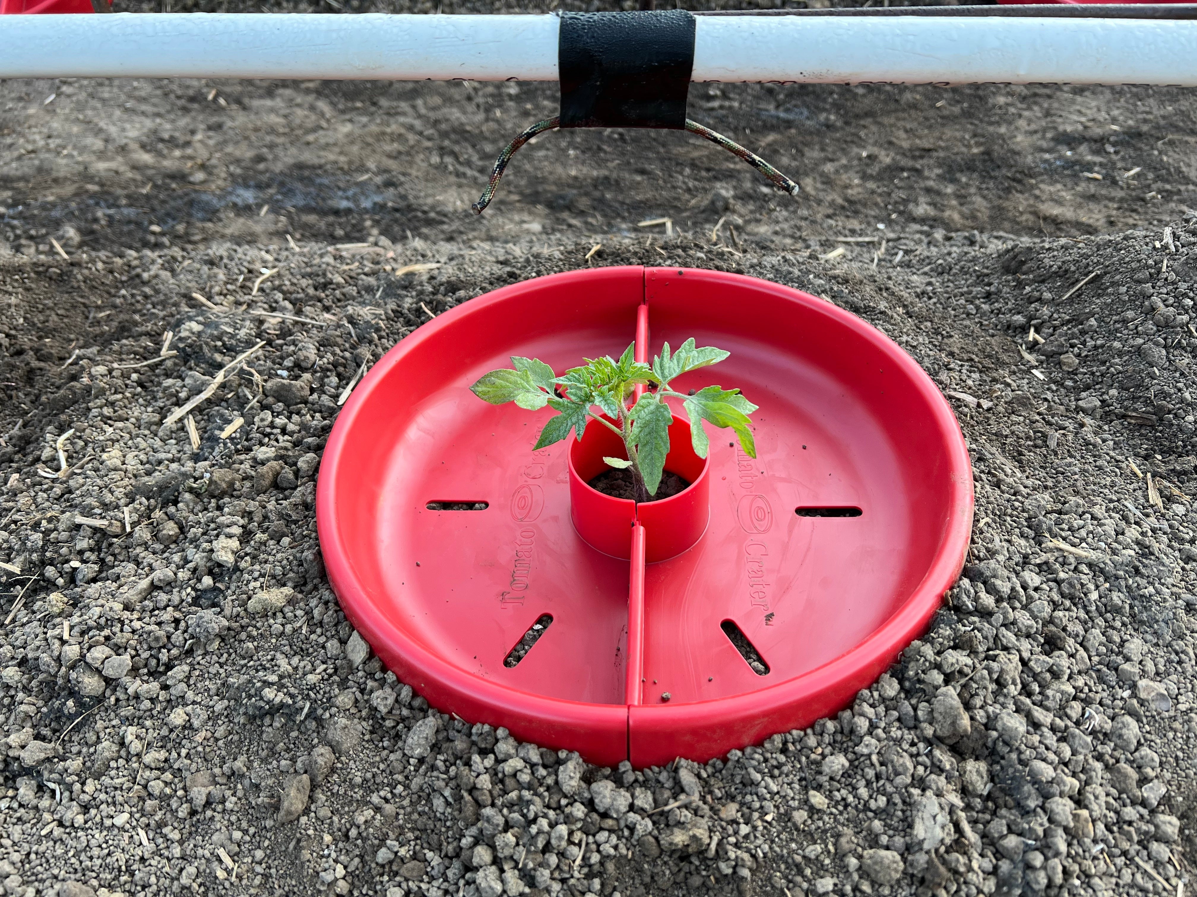 Smarter Root Zone Watering with the Tomato Crater - FLI Products