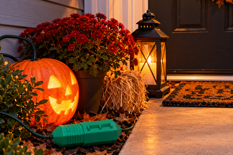 Green cord-connection enclosure among fallen leaves beside a glowing jack-o’-lantern, potted flowers and a porch lantern.