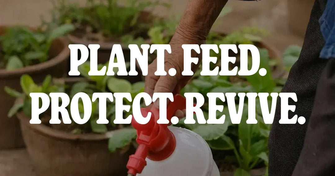 Why Your Plants Aren't Thriving (And How mitogrow™ Fixes It)