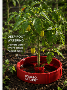 How to Set Up Tomato Crater for Maximum Yield: Tom's Complete Installation Guide
