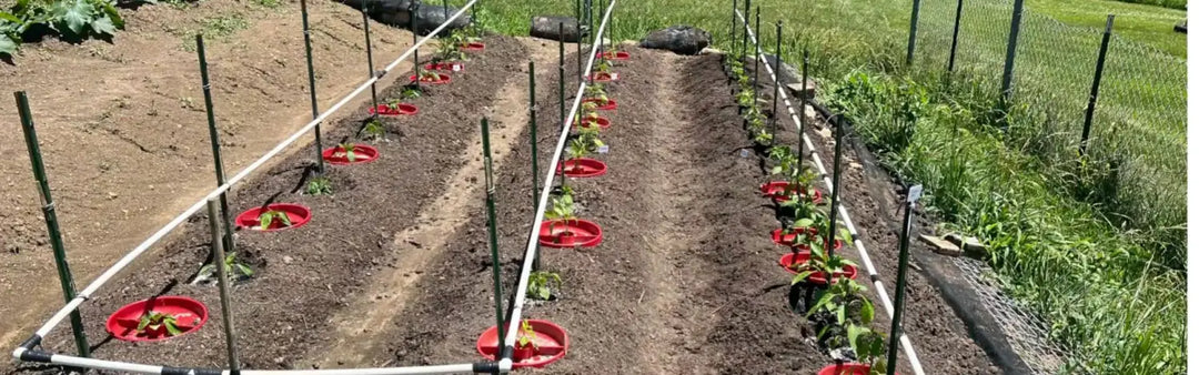 Spring 2026 Vegetable Garden Planning: Building a Bountiful Backyard Oasis with FLI Products and Beyond