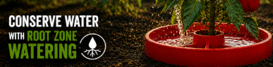 How to Water Pepper Plants the Right Way (And Stop Blossom End Rot for Good)