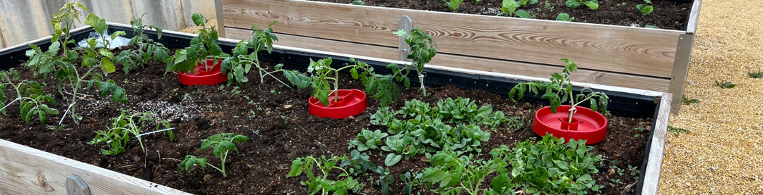 Best Watering System for Raised Bed Vegetables (And Why Root-Zone Watering Wins)