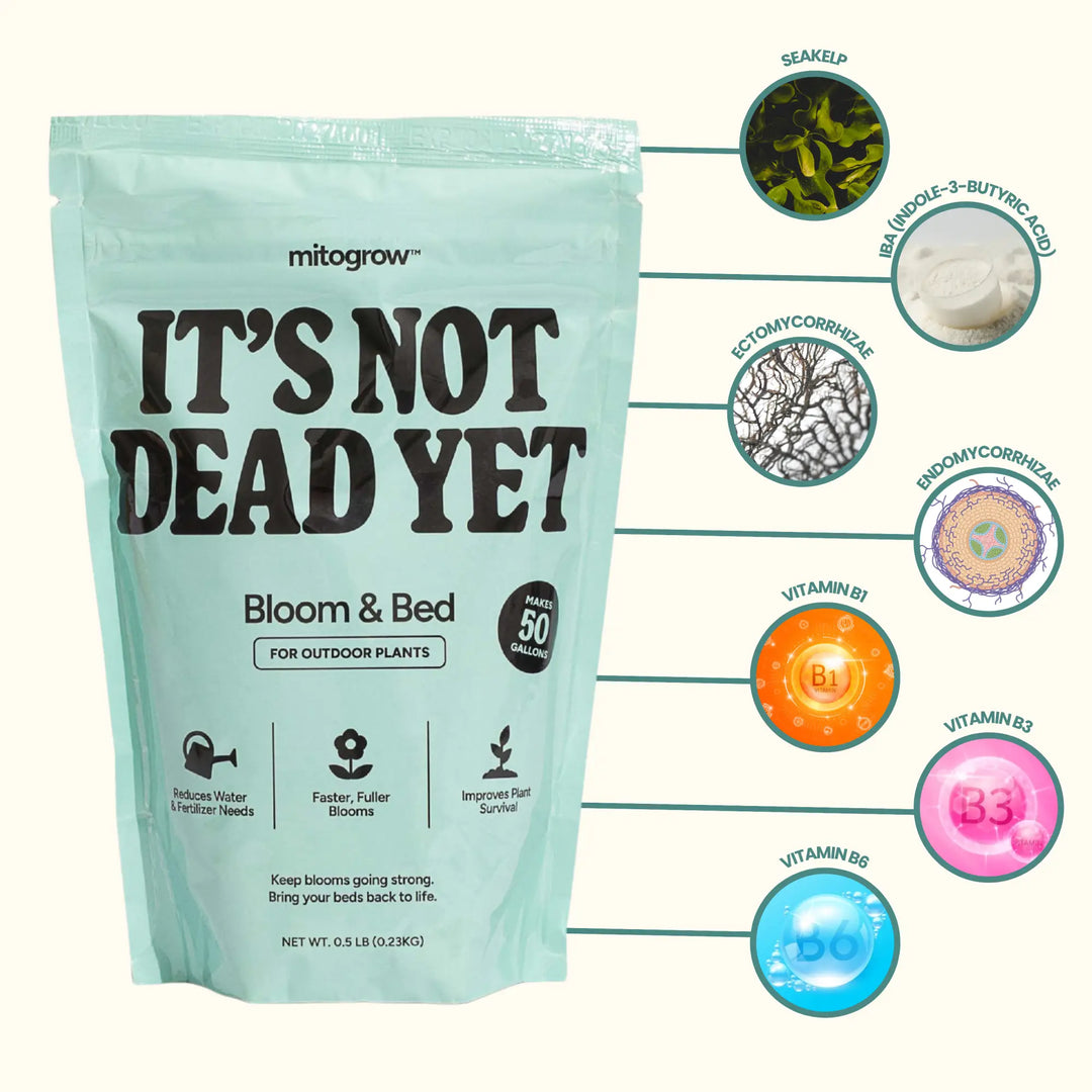 Step-by-step guide to transplanting plants without shock using Mitogrow biostimulant and FLI Products garden system