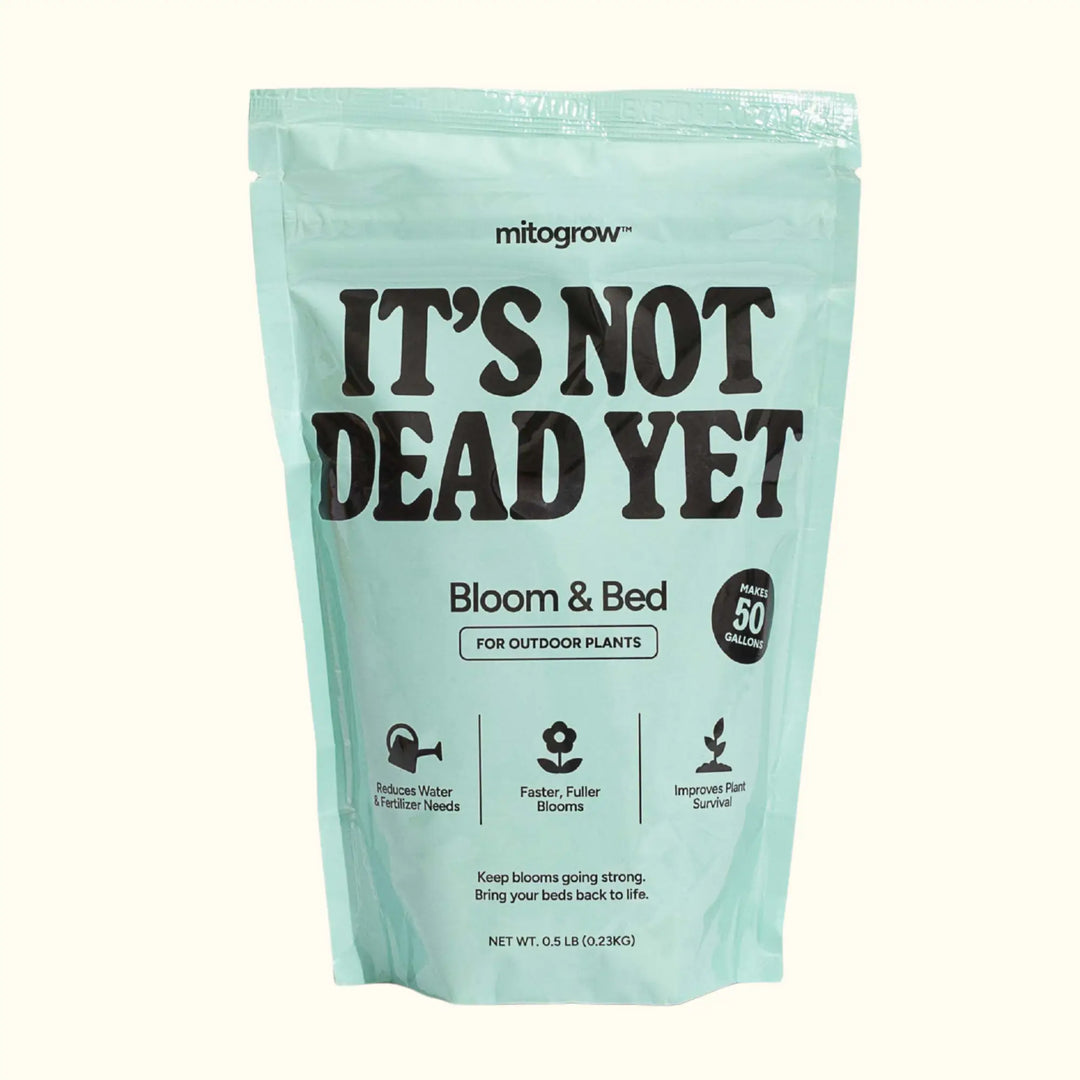 Stressed plant recovery guide showing heat drought and transplant shock solutions with Mitogrow biostimulant