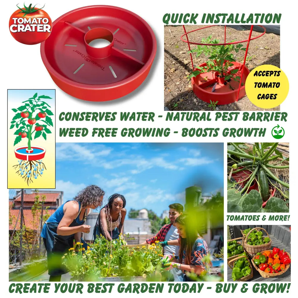 Red plastic tomato grower with central hole and radial slots for water conservation