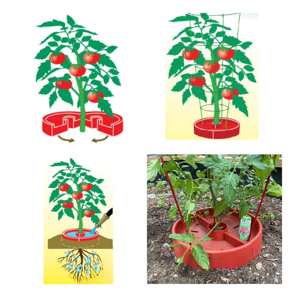 Tomato Crater Gardening Tool, 12” Red Plastic for Healthier Tomatoes 1pk