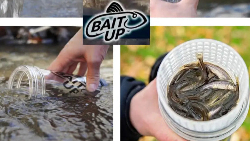 Bait Up Innovative Live Bait Container for Cold Water Fishing - Fishing USA Made