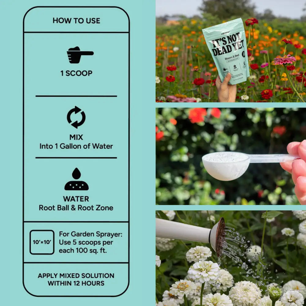 A light green matte pouch of it’s not dead yet bloom and bud plant food from bloom and bed with minimalist black text