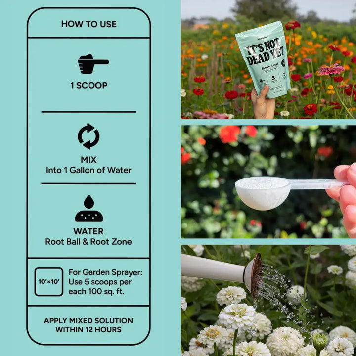 A light green matte pouch of it’s not dead yet bloom and bud plant food from bloom and bed with minimalist black text