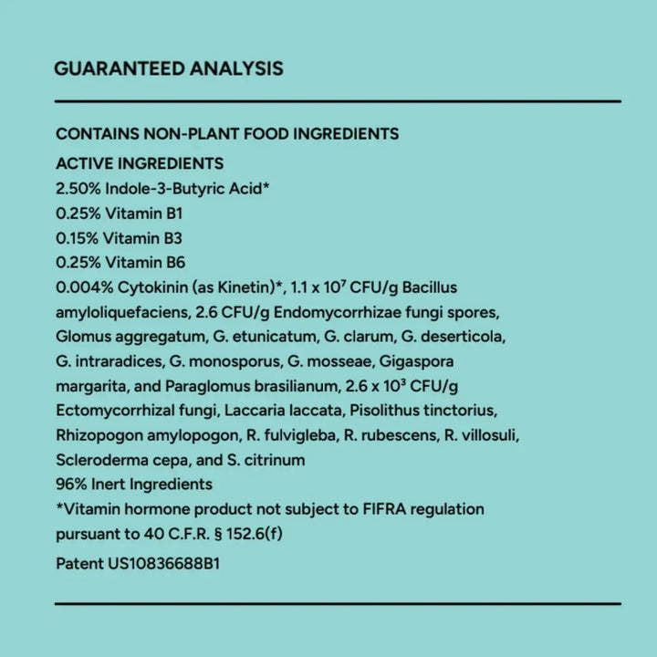 The back label of bloom & bed dietary supplement shows a light teal background with black text of guaranteed analysis and ingredients
