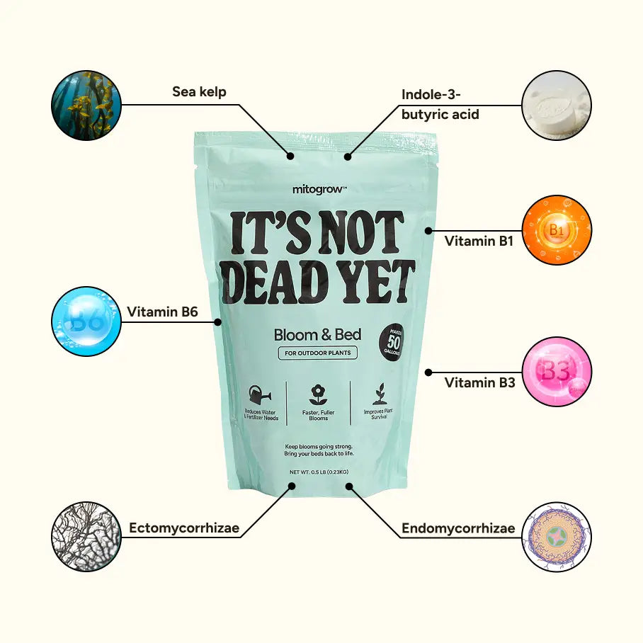Light blue resealable pouch of mitogrow its not dead yet bloom and bed plant fertilizer with sea kelp vitamin b1 and ectomycorrh