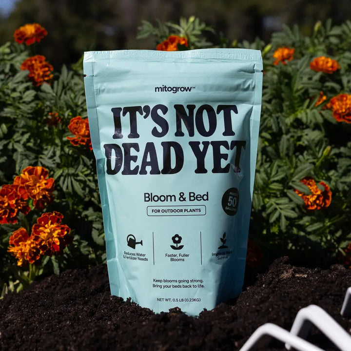 A light blue resealable pouch of mitogrow bloom and bed outdoor plant fertilizer with bold black text