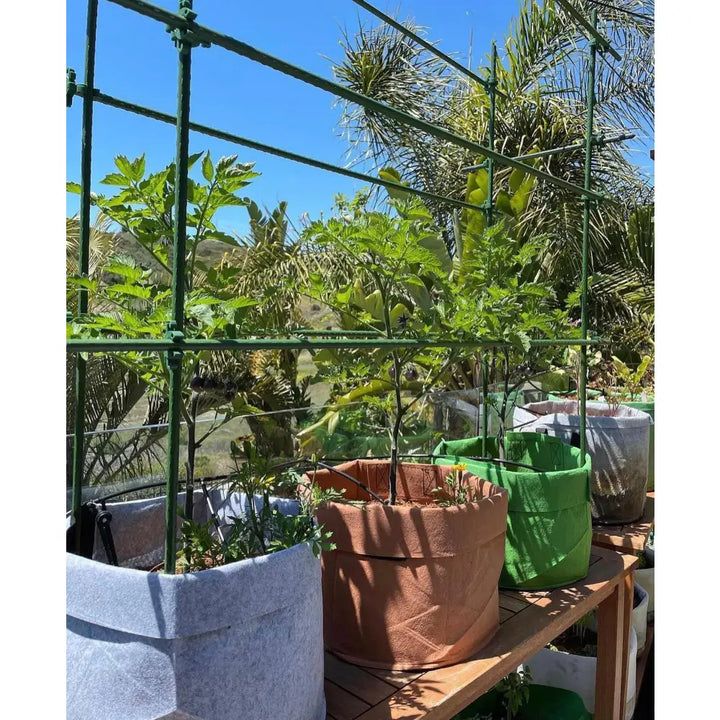 Green metal trellis with customizable tomato cage connectors supporting tomato plants in fabric grow bags using c-bite clips