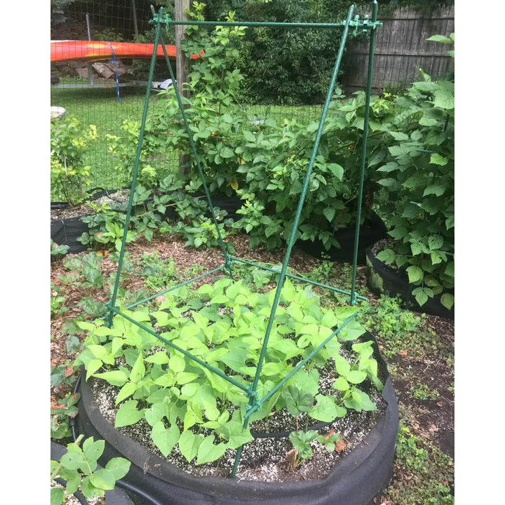 Green metal garden trellis with modular plant support clips holding climbing plants in a black circular planter