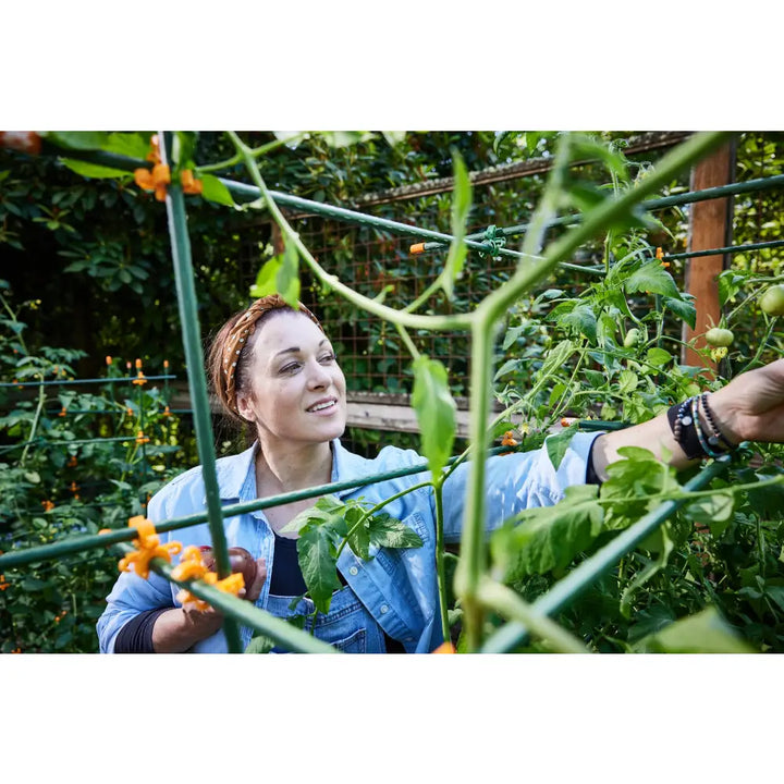 Woman in light blue denim jacket using c-bite mixed pack tangerine and lime plant clips for garden plant support