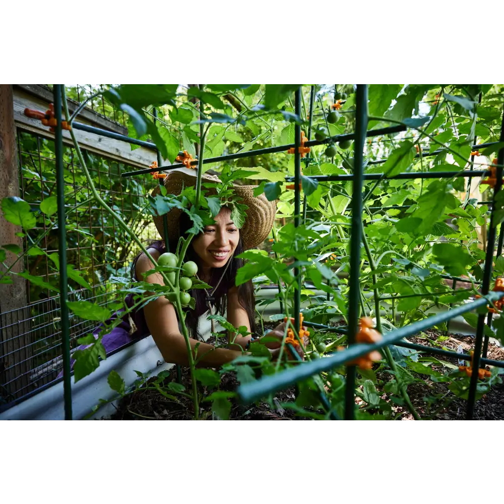 C-Bites Monster Garden Plant Support! Custom Trellis & Tomato Cage Kits 4- Plant Support