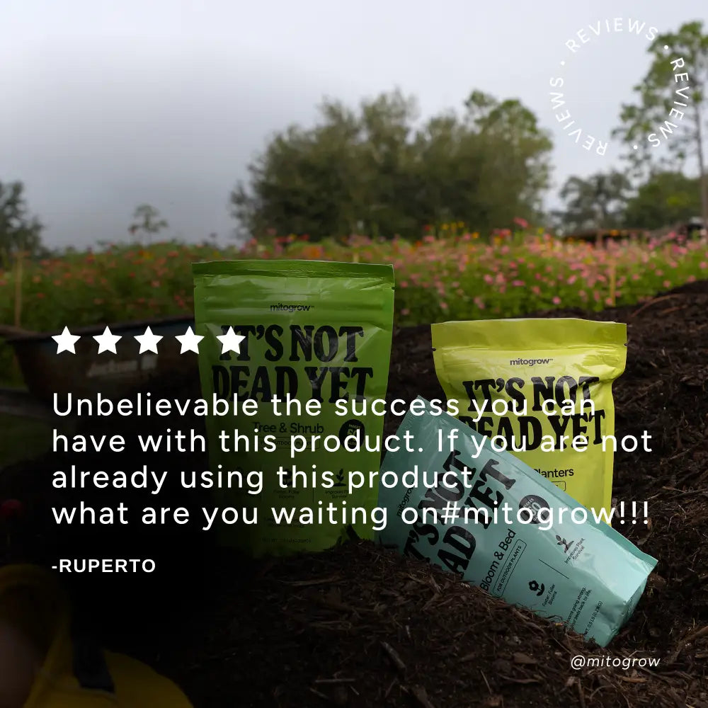Three brightly colored half-pound bags of mitogrow plant growth products in green yellow and blue on dark soil garden bundle