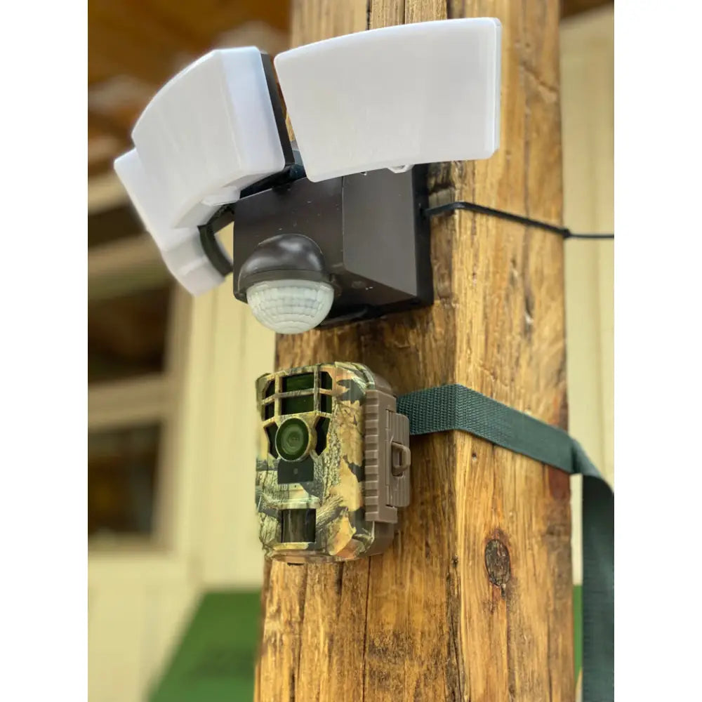 Camouflage trail camera mounted on wood post with iq america white battery powered security light motion sensor flood light above