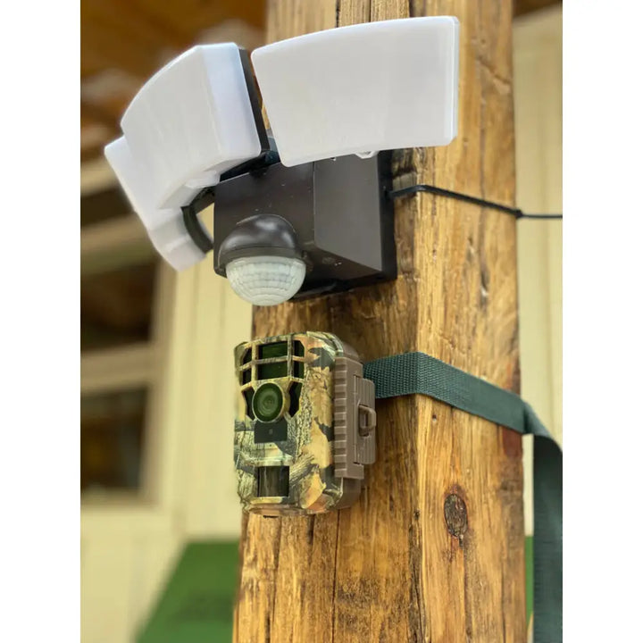 Camouflage trail camera mounted on wood post with iq america white battery powered security light motion sensor flood light above