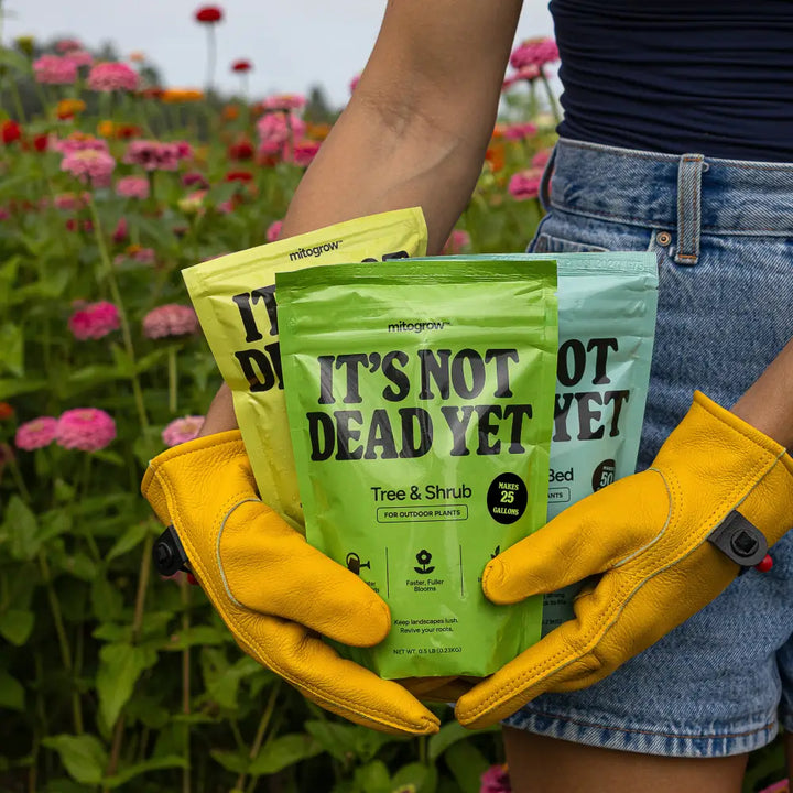 Bright green yellow and light blue resealable pouches of mitogrow garden bundle with patented bio-stimulant complex for woody plants