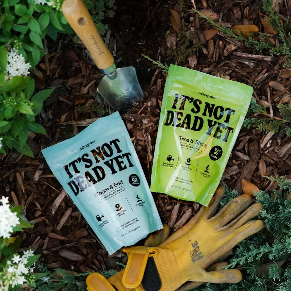 Light blue and lime green resealable pouches of mitogrow outdoor bundle plant food for complete outdoor plant empowerment