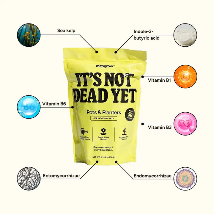 Bright yellow resealable bag of mitogrow pots bio-stimulant complex for comprehensive plant empowerment in indoor planters