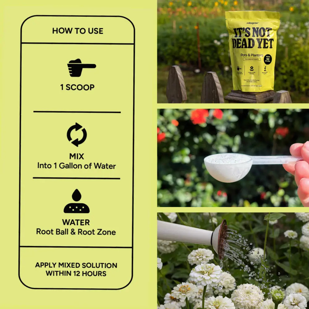 Yellow bag of mitogrow pots plant fertilizer featuring bio-stimulant complex for comprehensive plant empowerment