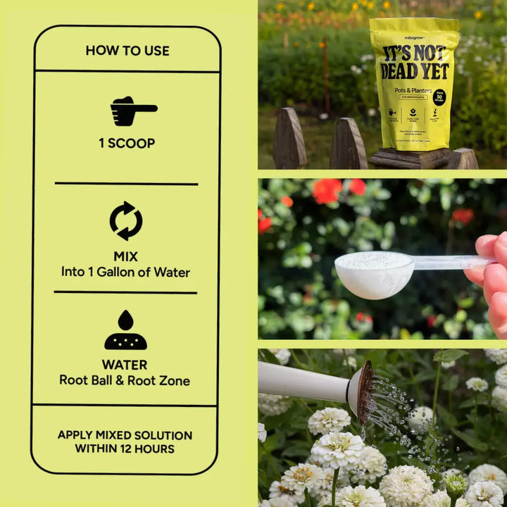Yellow bag of mitogrow pots plant fertilizer featuring bio-stimulant complex for comprehensive plant empowerment