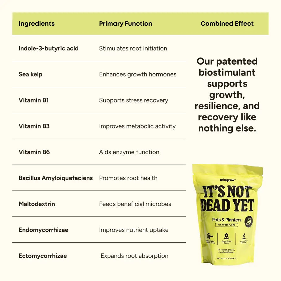 Bright yellow pouch of mitogrow pots bio-stimulant complex for comprehensive plant empowerment in indoor planters