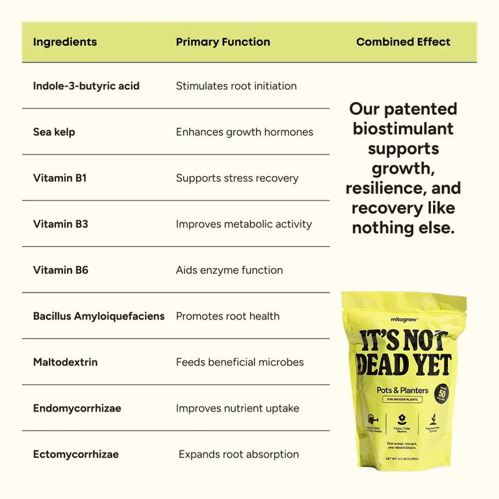 Bright yellow pouch of mitogrow pots bio-stimulant complex for comprehensive plant empowerment in indoor planters