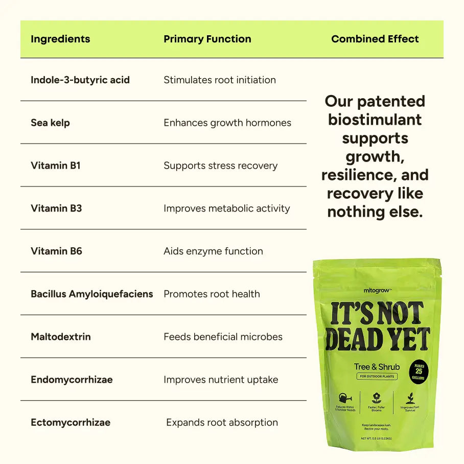 Bright green resealable pouch of mitogrow tree bio-stimulant complex for newly planted saplings and shrubs