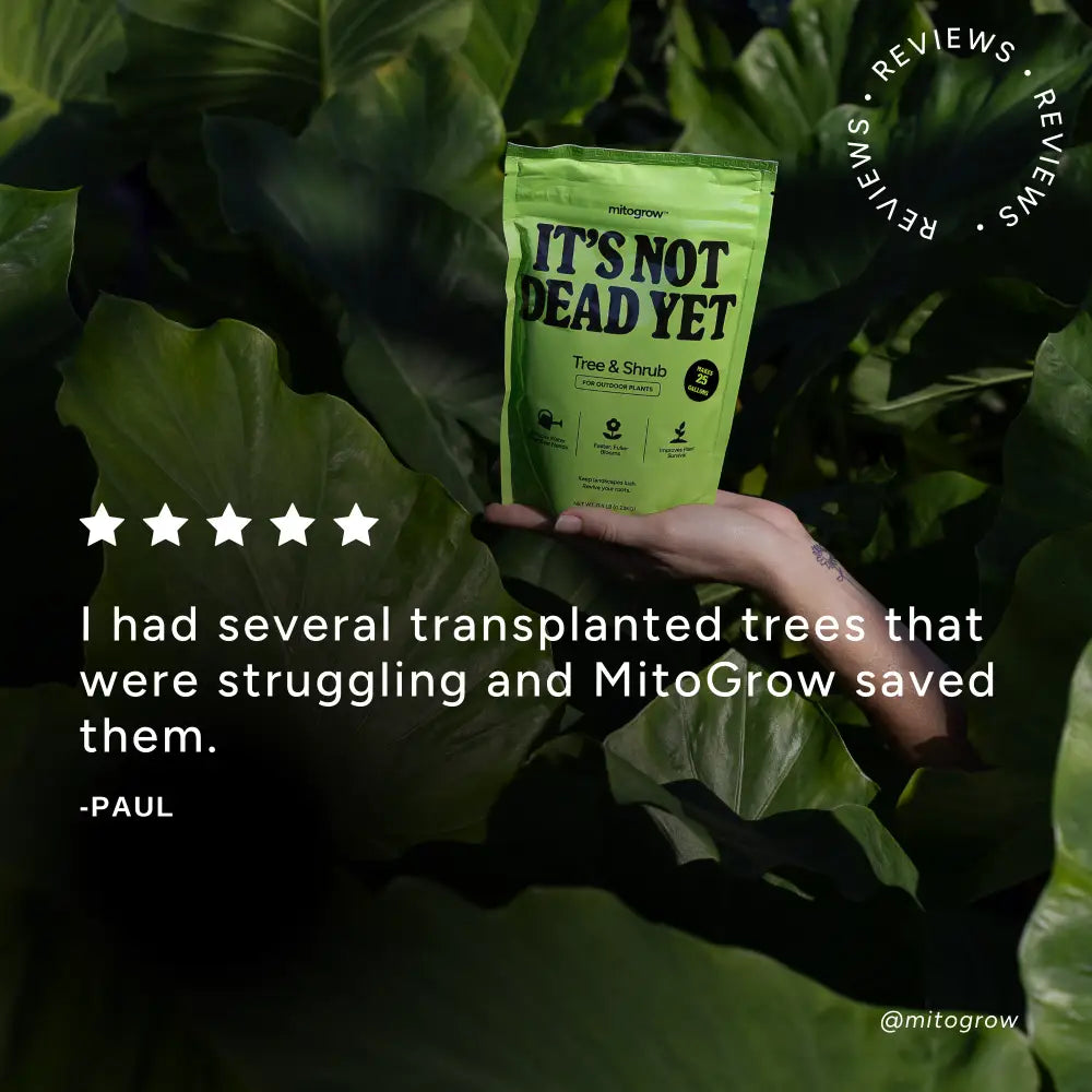 A vibrant lime green pouch of mitogrow tree shrub plant food with a bio-stimulant complex for newly planted saplings