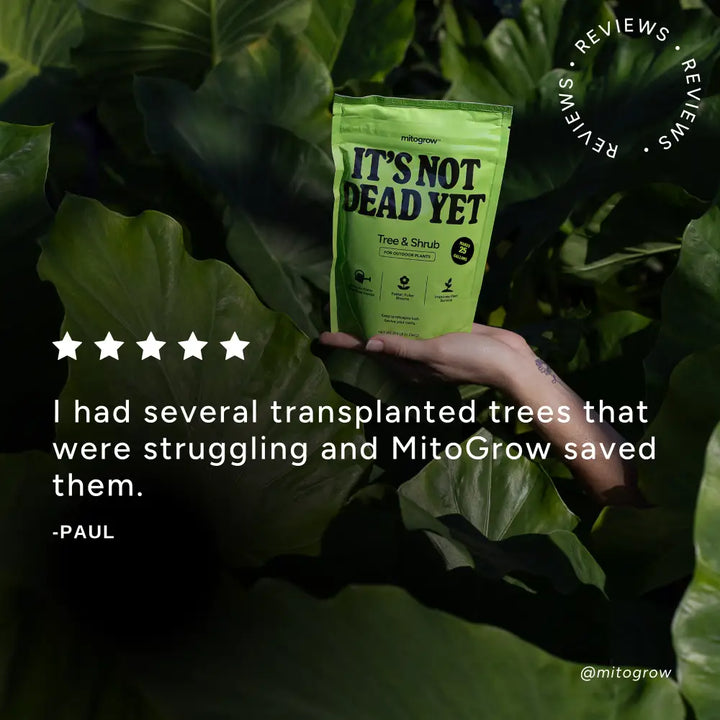 A vibrant lime green pouch of mitogrow tree shrub plant food with a bio-stimulant complex for newly planted saplings