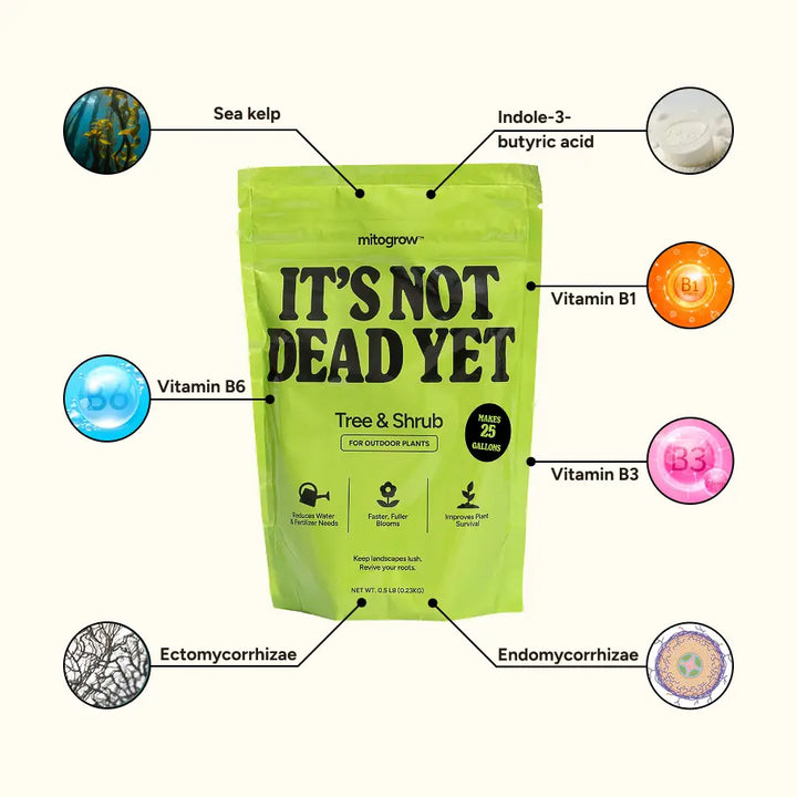 A lime green resealable pouch of mitogrow tree and shrub fertilizer with bio-stimulant complex for newly planted saplings