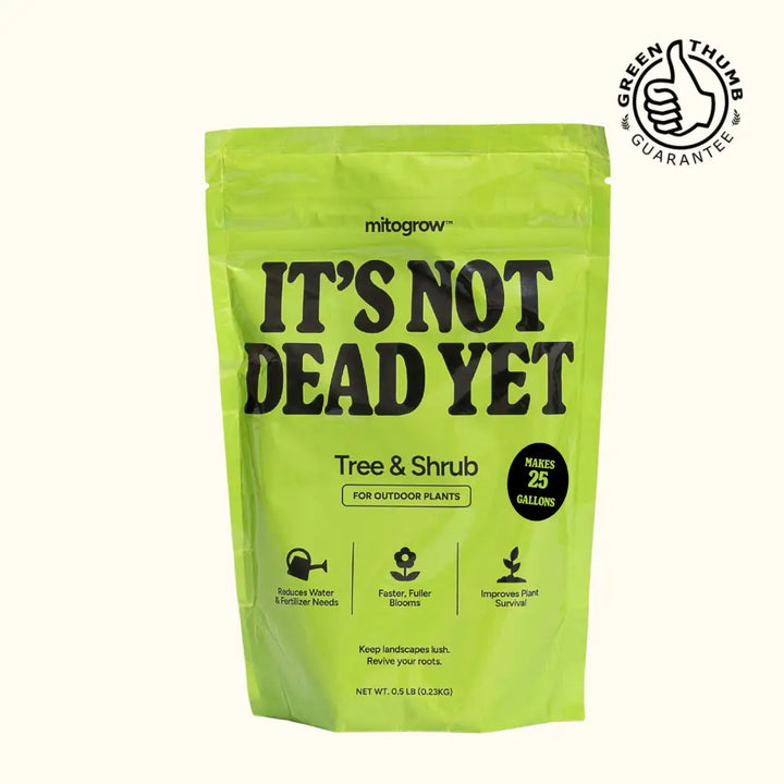 Lime green resealable pouch of mitogrow tree shrub fertilizer with bio-stimulant complex for newly planted saplings outdoors