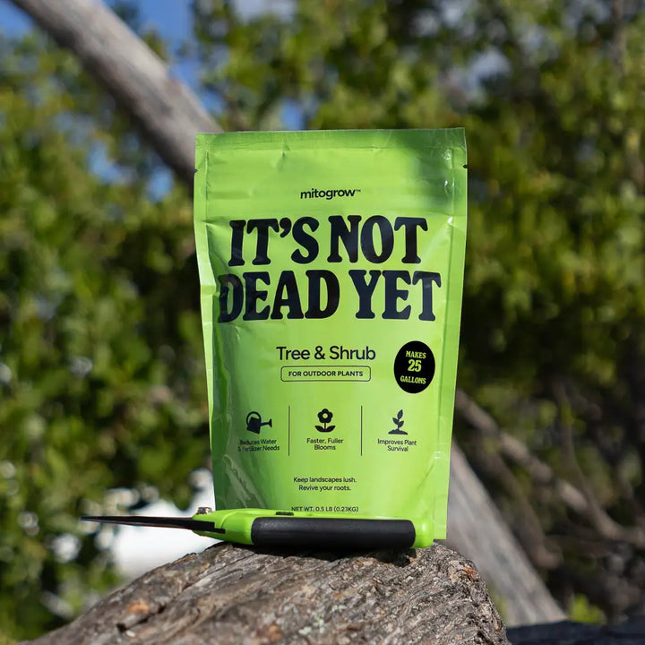Bright green pouch of mitogrow tree fertilizer with bio-stimulant complex for newly planted saplings and shrub care