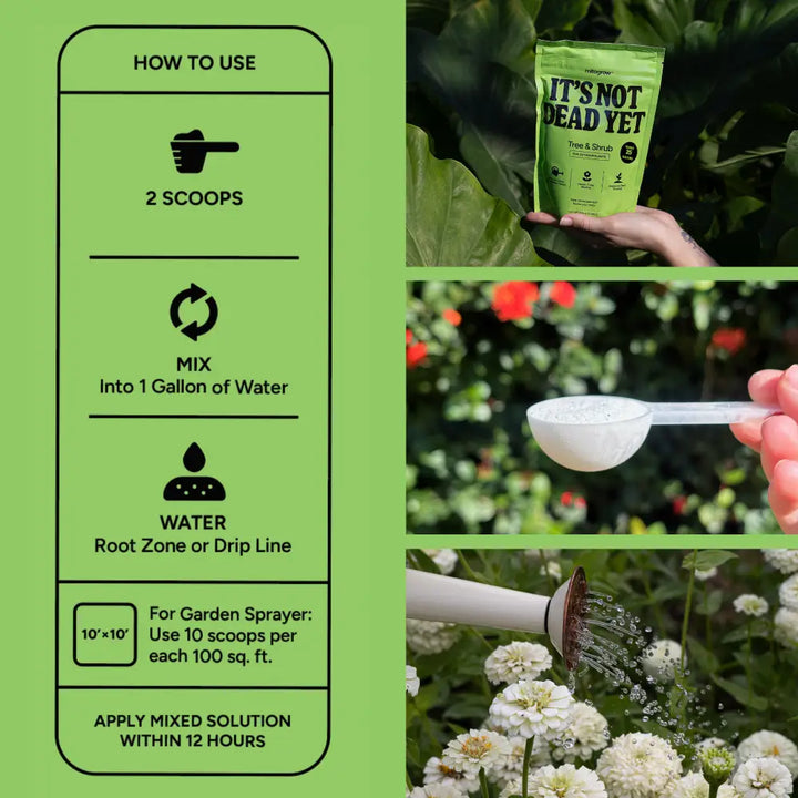 Green pouch of mitogrow tree bio-stimulant complex plant food labeled its not dead yet for newly planted saplings and shrubs