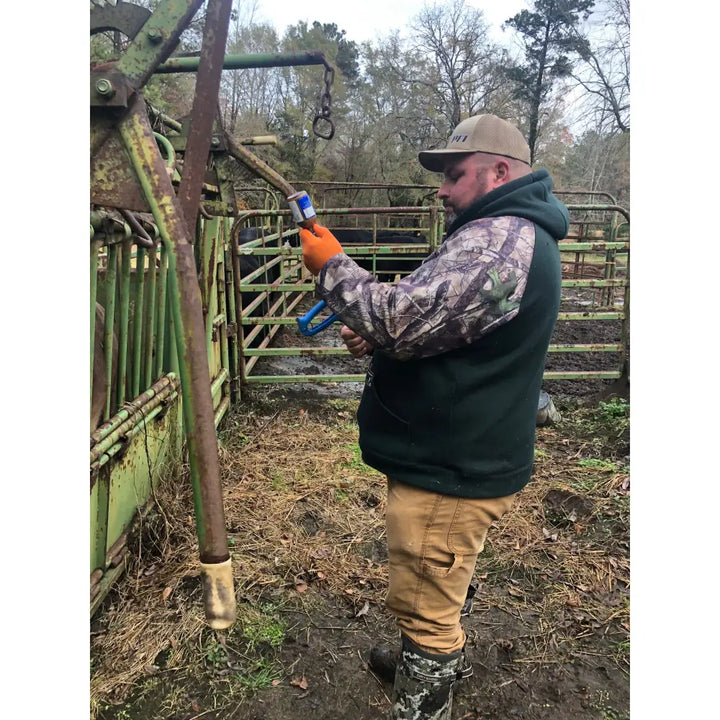A man wearing orange natural rubber disposable latex low protein safety gloves holds a thermal device in a livestock pen