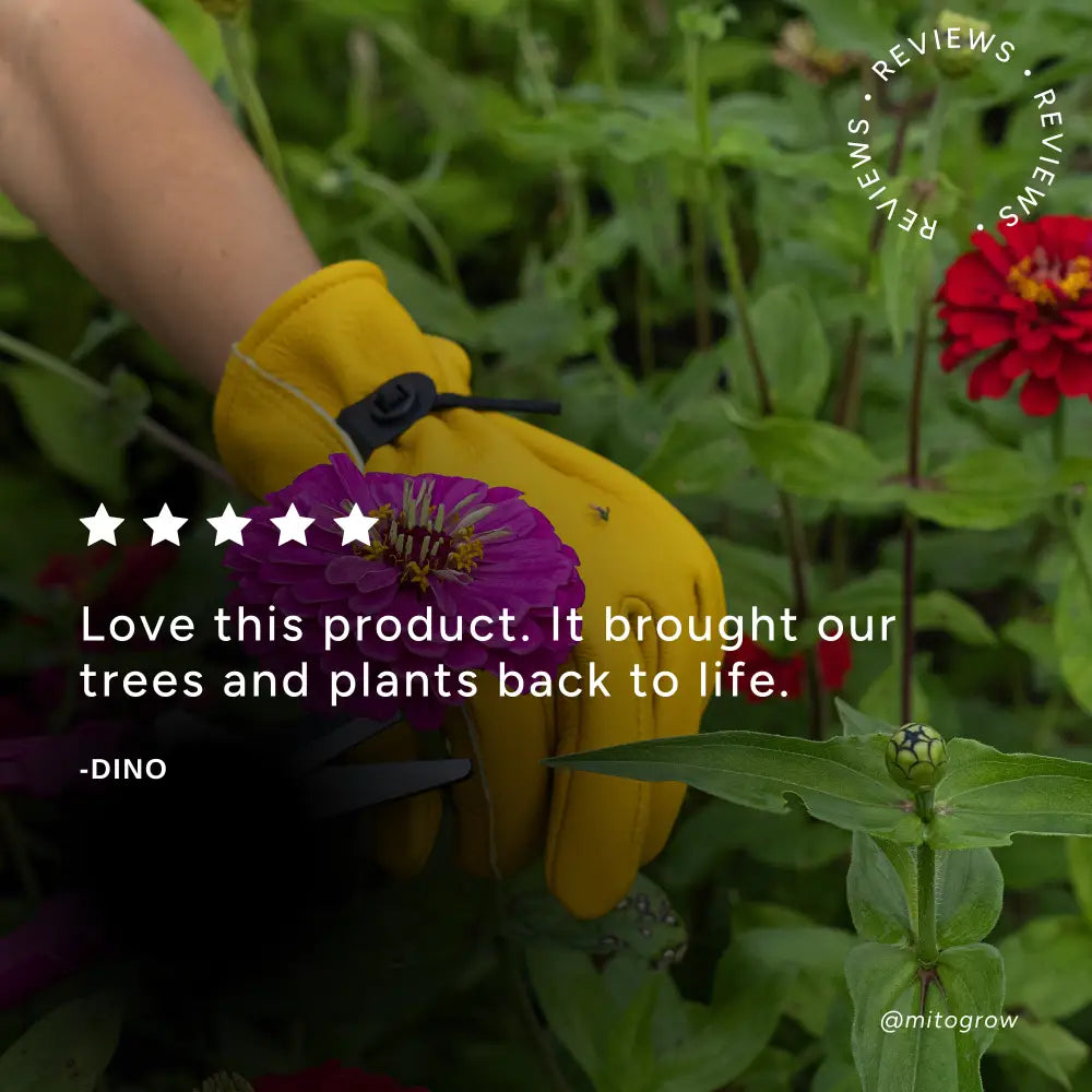 Yellow gardening glove with black strap holding purple flower in outdoor bundle half-pound bag for gardening use