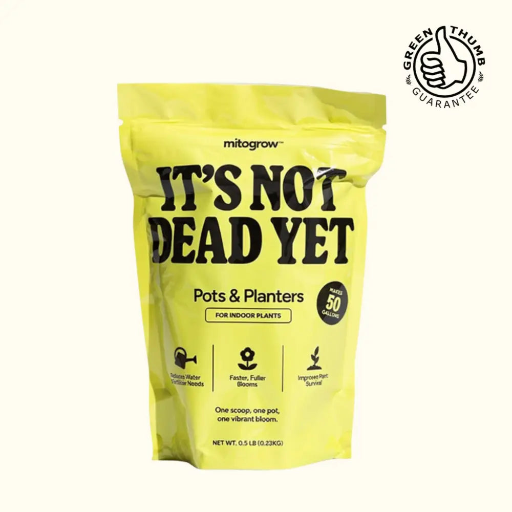 Bright yellow resealable bag of mitogrow indoor plant fertilizer labeled its not dead yet for pots and planters