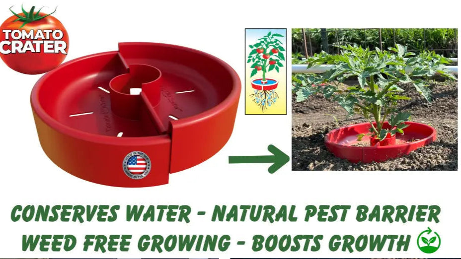 Tomato Crater 12-Inch Gardening Tool Boosts Yields Saves Water Made in USA 3PK - tomato crater