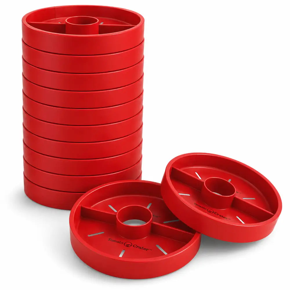Red plastic tomato crater root-zone watering basin with segmented compartments to prevent blossom end rot
