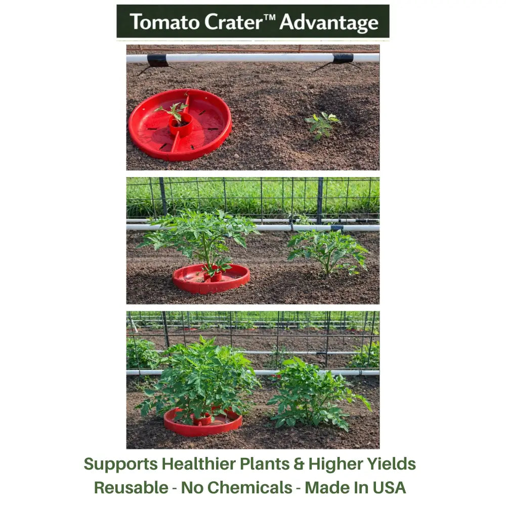 Tomato Crater root-zone watering system — red tray channels water directly to tomato and vegetable root zones, reduces water waste, Made in USA