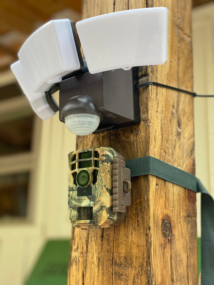 Image of Premium Product: Iq America Lb1912Bz 1200 Lumen Battery Operated Led Motion Security Flood Light Wall Eave Mount Bz, highlighting its features and quality.