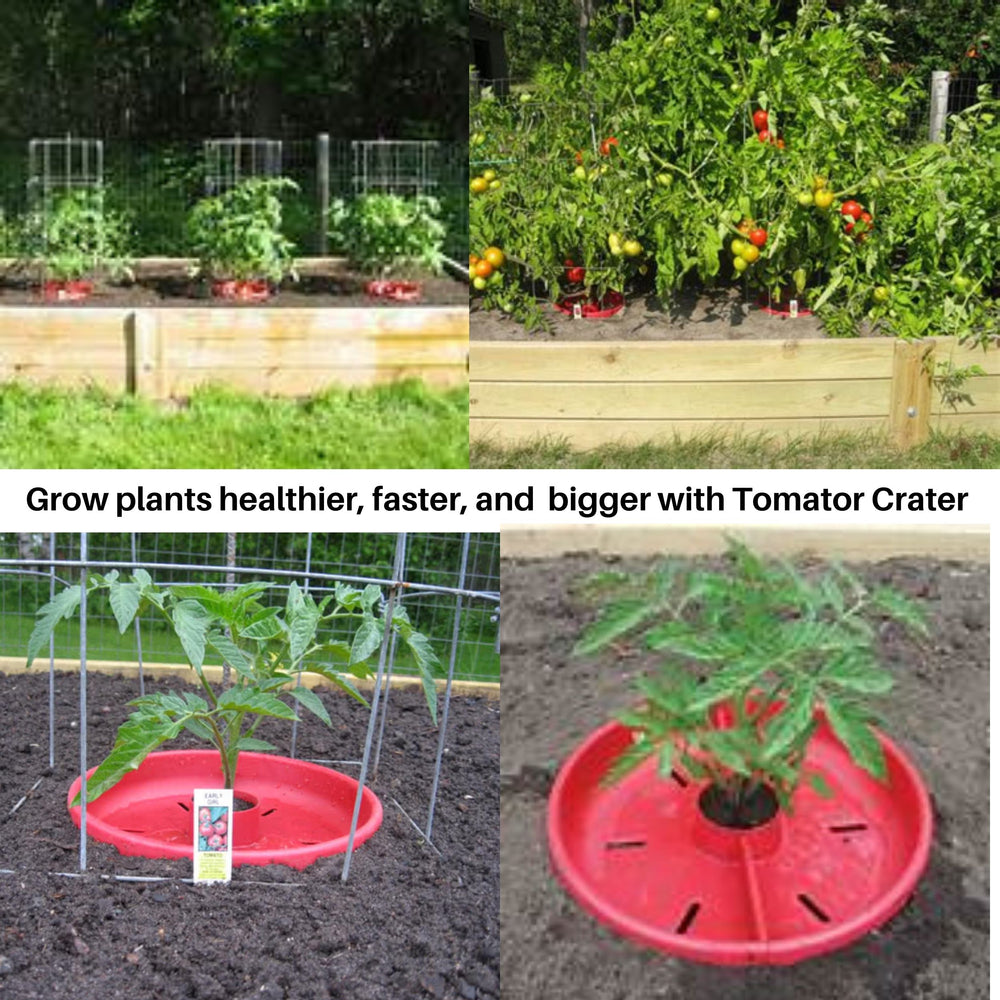 Tomato Crater DP3031-3 Vegetable Garden Watering Trough Tray, All Purpose Tool Enhances Crop Growth, Directs Fertilizer and Water to the Roots, Warms Soil, Prevents Cutworms, Weed Control, Accepts Tomato Cages 12” 3pk Red