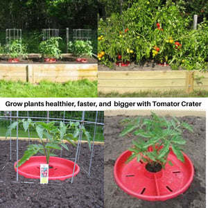 Tomato Crater DP3031-3 Vegetable Garden Watering Trough Tray, All Purpose Tool Enhances Crop Growth, Directs Fertilizer and Water to the Roots, Warms Soil, Prevents Cutworms, Weed Control, Accepts Tomato Cages 12” 3pk Red