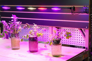 F6 Spectrum, horticultural lighting, hydroponics, passive hydroponics, vertical growing, tower garden